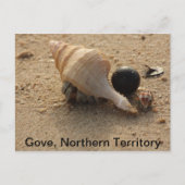 Carte postale Gove (Devant)