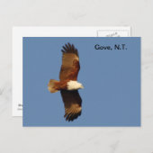 Carte postale Gove Brahminy Kite (Devant / Derrière)