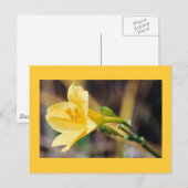 Carte Postale Grâce (Devant / Derrière)