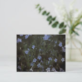 Carte Postale Grâce aux abeilles (Debout devant)