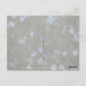 Carte Postale Grâce aux abeilles (Dos)