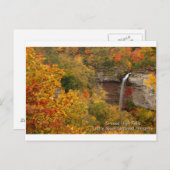 Carte Postale Grace High Falls (Devant / Derrière)