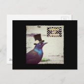 Carte Postale Grackle friandise ou farce (Devant / Derrière)