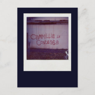 Carte Postale Graffiti Cammillia la Contessa à Southbank