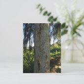 Carte Postale Graffiti thaïlandais (Debout devant)