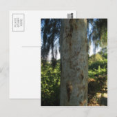 Carte Postale Graffiti thaïlandais (Devant / Derrière)