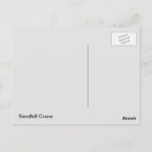 Carte Postale Graine de Sandhill (Dos)