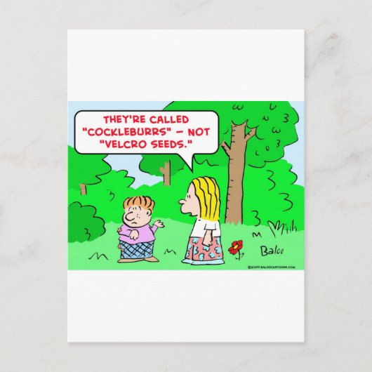 Carte Postale graine de velcro (Devant)