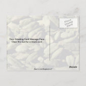 Carte Postale Graines Cardomom (Dos)