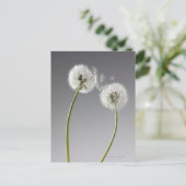 Carte Postale Graines connectant deux pandelions (Debout devant)