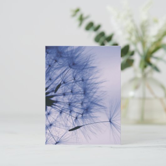 Carte Postale Graines de Dandelion (Debout devant)