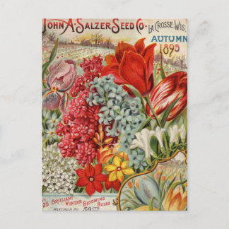 Carte Postale Graines de fleurs de sel