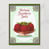 Carte Postale Graines de fraises d'Heirloom (Devant)
