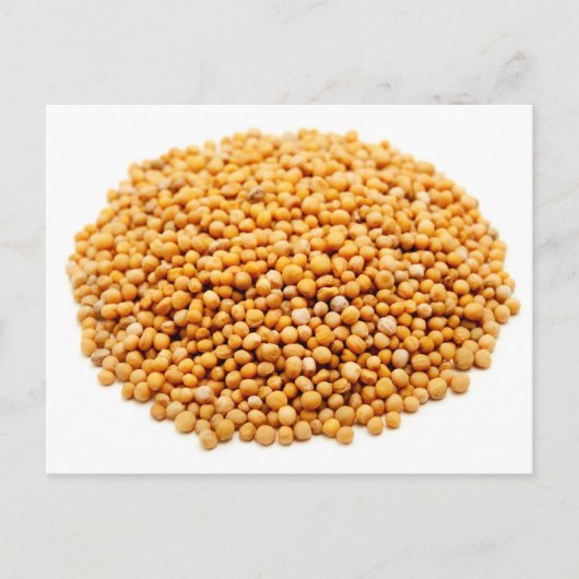 Carte Postale Graines de moutarde (Devant)