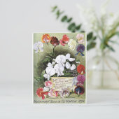 Carte Postale graines de pois doux (Debout devant)