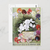 Carte Postale graines de pois doux (Devant / Derrière)