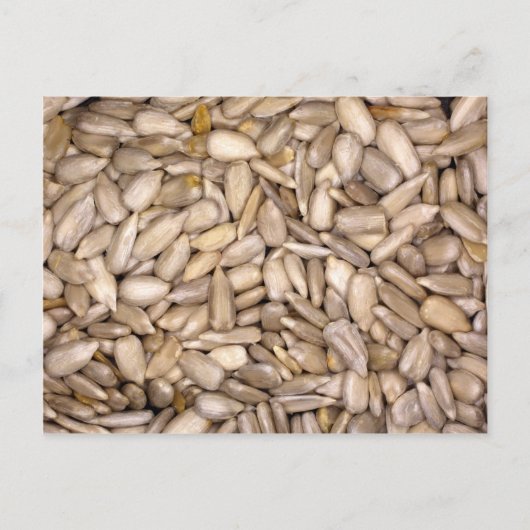 Carte Postale Graines de tournesol (Devant)