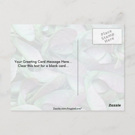 Carte Postale Graines d'érable sycomore (Dos)