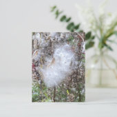 Carte Postale Graines et soie d'algues (Debout devant)