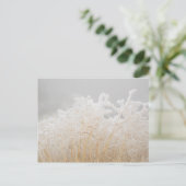 Carte Postale Grains d'hiver congelés (Debout devant)