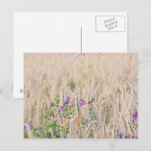 Carte postale Grains en croissance (Devant / Derrière)