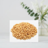 Carte Postale Grains entiers de blé (Debout devant)