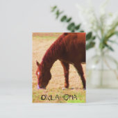 Carte Postale Graissage (Debout devant)