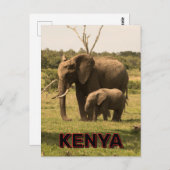 Carte Postale Graissage Des Éléphants Au Kenya (Devant / Derrière)