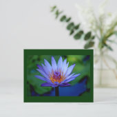 CARTE POSTALE GRAISSE FLORALE (Debout devant)