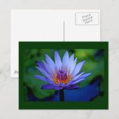 CARTE POSTALE GRAISSE FLORALE (Devant / Derrière)