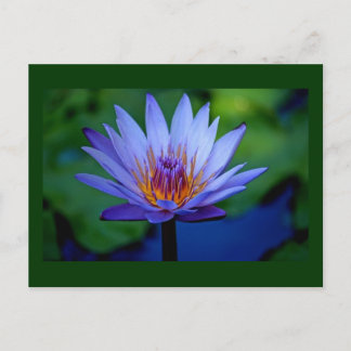 CARTE POSTALE GRAISSE FLORALE