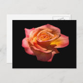 Carte postale Granada Tea Rose (Devant / Derrière)