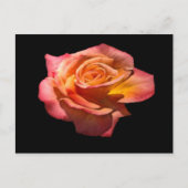 Carte postale Granada Tea Rose (Devant)