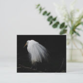 Carte Postale Grand Aiguille (Debout devant)