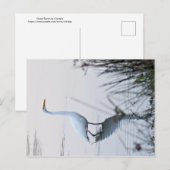 Carte Postale Grand Aiguille (Devant / Derrière)