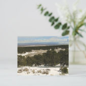 Carte Postale Grand bassin (Debout devant)