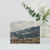 Carte Postale Grand bassin (Debout devant)