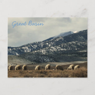 Carte Postale Grand bassin