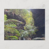 Carte Postale Grand Canyon (Devant)