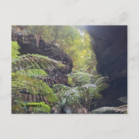 Carte Postale Grand Canyon (Devant)