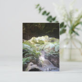 Carte Postale Grand Canyon (Debout devant)