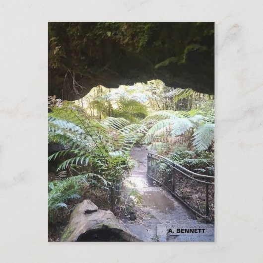 Carte Postale Grand Canyon (Devant)