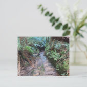 Carte Postale Grand Canyon (Debout devant)