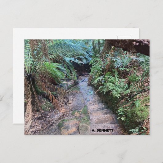 Carte Postale Grand Canyon (Devant / Derrière)