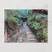 Carte Postale Grand Canyon (Devant)