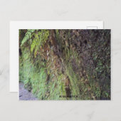 Carte Postale Grand Canyon (Devant / Derrière)