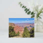 Carte Postale Grand Canyon (Debout devant)