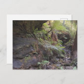 Carte Postale Grand Canyon (Devant / Derrière)