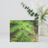 Carte Postale Grand Canyon (Debout devant)