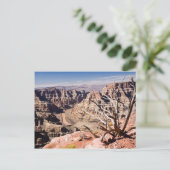 Carte Postale Grand Canyon (Debout devant)